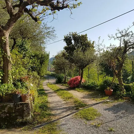 Tra Gli Olivi דירה