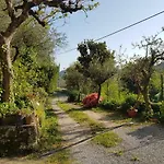 Tra Gli Olivi Apartment