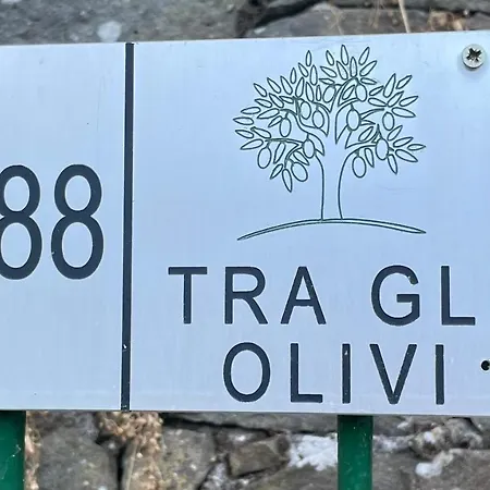 شقة Tra Gli Olivi