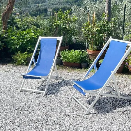 Tra Gli Olivi *