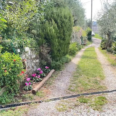 Tra Gli Olivi *