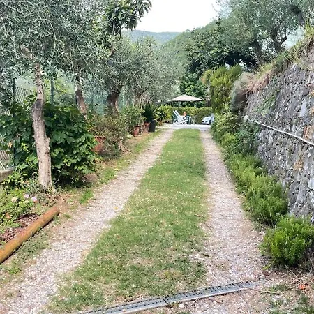 Tra Gli Olivi Lucca