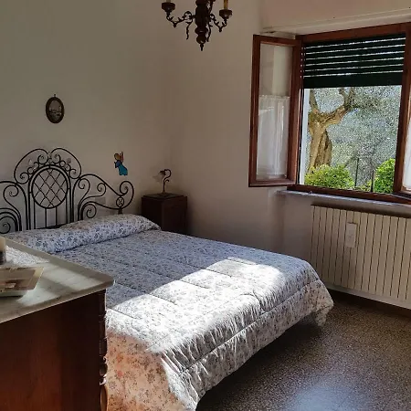 Tra Gli Olivi Apartment Lucca