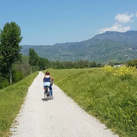 Tra Gli Olivi Lucca